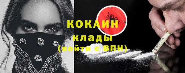 ПСИЛОЦИБИНОВЫЕ ГРИБЫ Белоозёрский